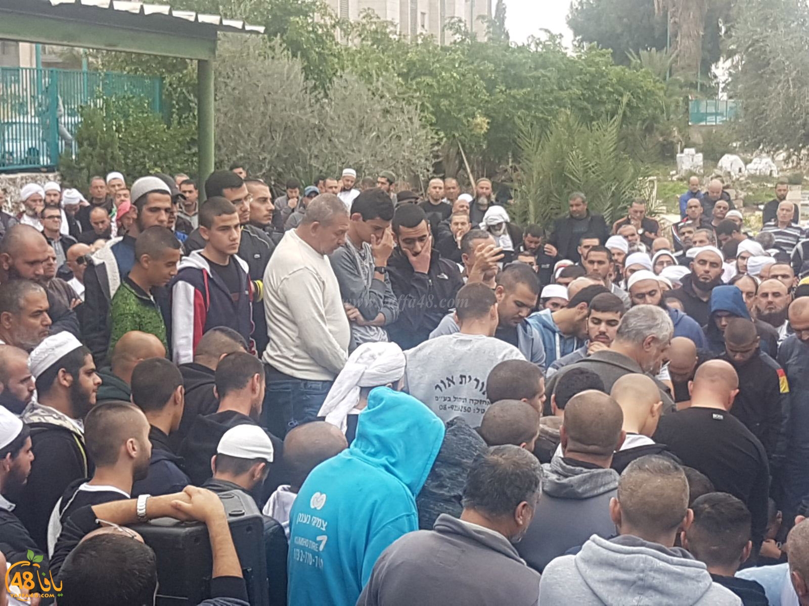 tasheeye3 om mhmoud (6).jpg